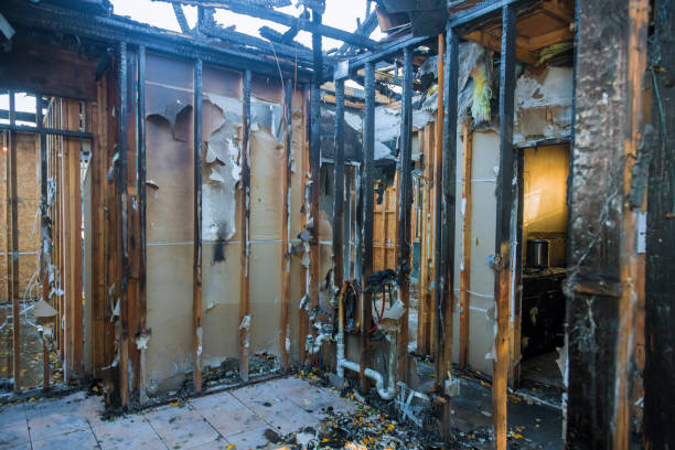 Professional Fire Damage Removal technician working in Sharon Hill, PA